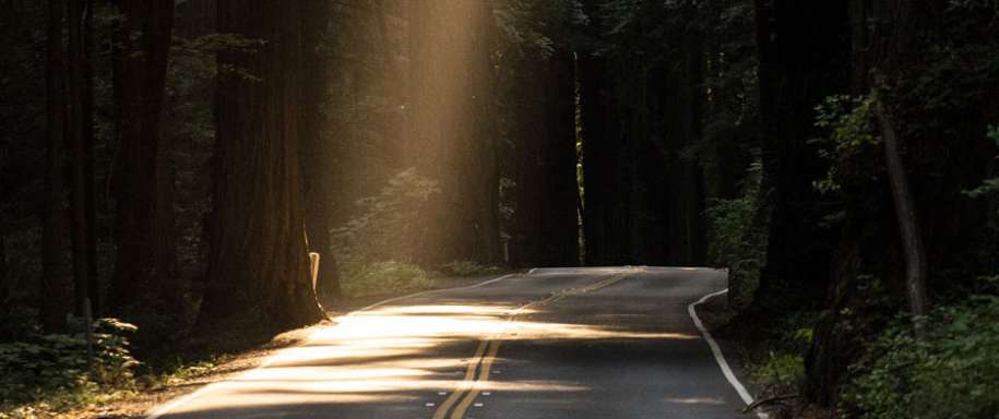 Peace of Mind NAPA Warranty Claremont